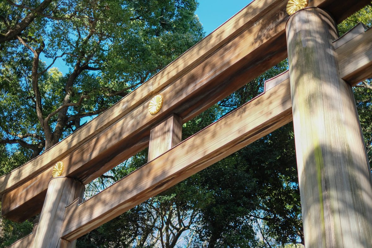 ブログ：サムネイル画像