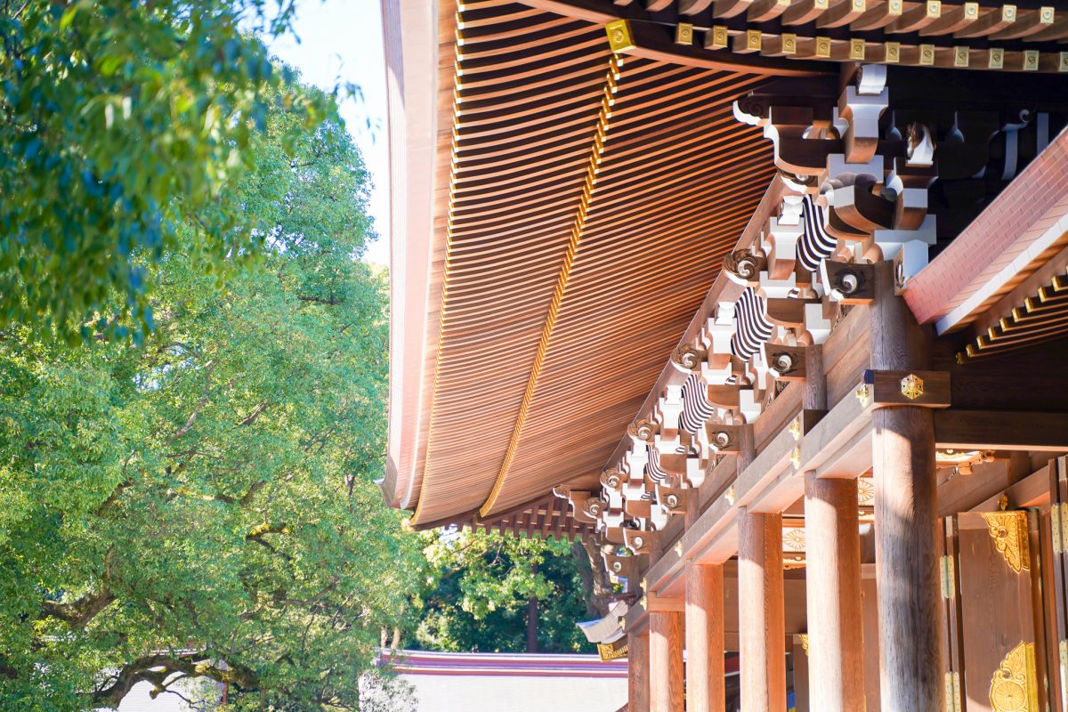 ブログ：サムネイル画像