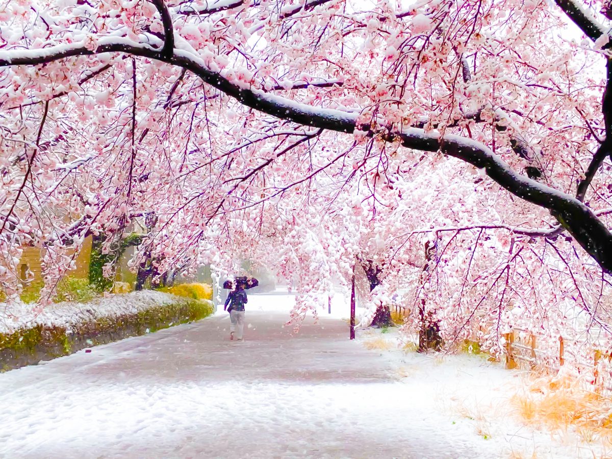 ブログ：サムネイル画像